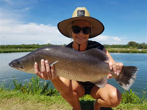 Hook-A-Barra | Cairns & Great Barrier Reef