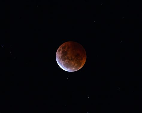 Blood Moon 2021-32 | Mal Booth | Flickr