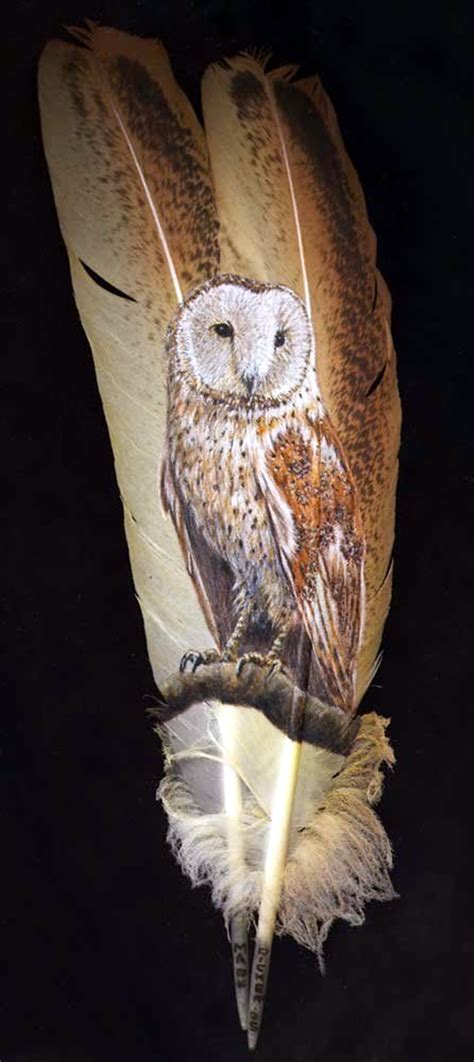 An Amazing Hobby Of Painted Feathers (40 Examples) - Bored Art