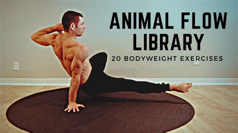 20 Animal Flow Exercises for Full-Body Strength and Mobility - Fit N Over 40