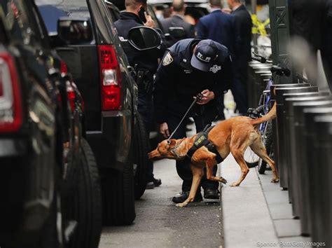 A professional at work - A police bomb-sniffing dog is deployed outside ...