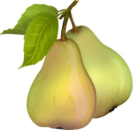 Pear PNG Transparent Images - PNG All