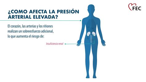 ¿Tienes una presión arterial normal? - Discovering