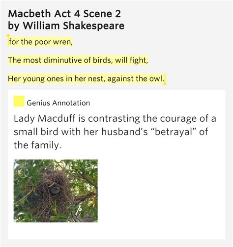 For the poor wren, / The most diminutive.. – Macbeth Act 4 Scene 2