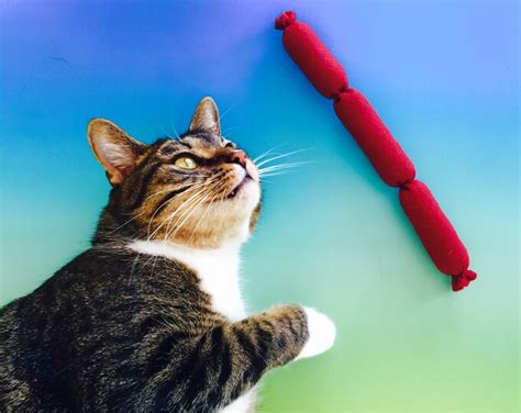 Catnip Sausage Rope Cat Toy - Etsy