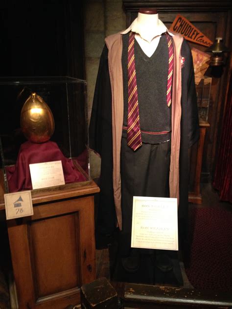 Ron Weasley's costume | Ron weasley costume, Harry potter expo, Harry potter exhibition