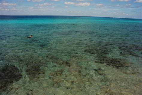 Great snorkeling in Cozumel