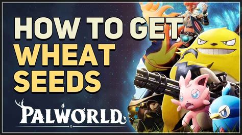 How to get Wheat Seeds Palworld - YouTube