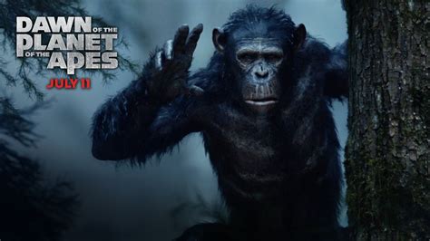 Dawn of the Planet of the Apes wallpaper 5 | WallpapersBQ