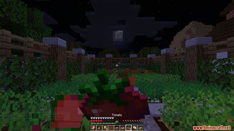 Farmer's Delight Mod (1.19.3, 1.18.2) - Farming Expansion for Minecraft - Mc-Mod.Net