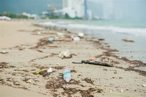 Beach Litter - your quick guide to responsible disposal - KS Environmental