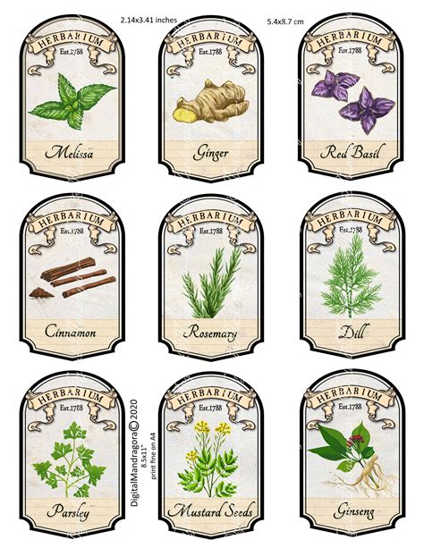 Herbal apothecary labels herb labels herbs spices pharmacy | Etsy