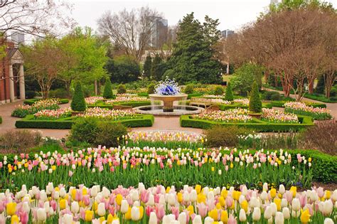 Atlanta Botanical Garden - A Vibrant Floral Wonderland - Go Guides