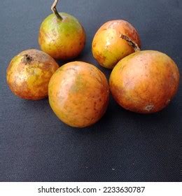 Fresh Baccaurea Racemosa Buah Menteng Kapundung Stock Photo 2233630787 | Shutterstock