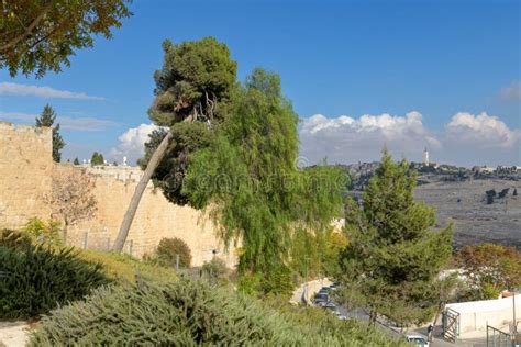 Old city wall of Jerusalem stock photo. Image of cathedral - 264453428