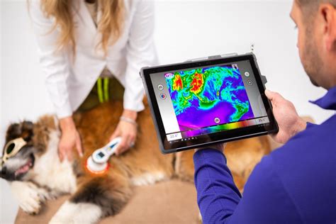 Thermal imaging company receives Fear Free recognition - Second Chance Veterinary Care