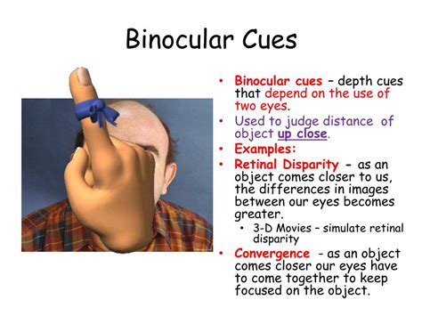 Binocular Cues Retinal Disparity