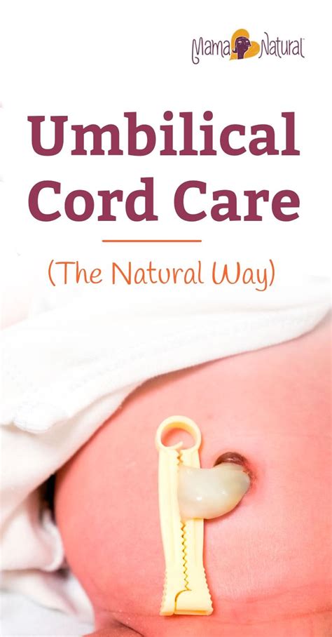 Umbilical Cord in Baby: How to Care for It Naturally | Natural baby, Baby care kit, Baby care tips