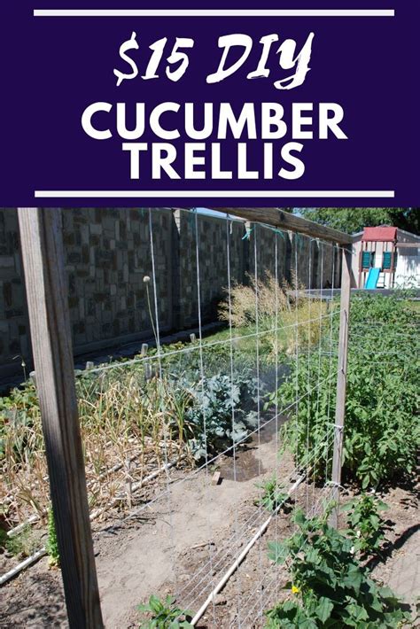 Simple Cucumber Trellis for only $15 - Our Stoney Acres