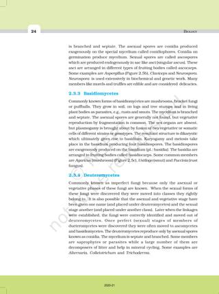 Chapter 2 biological classification | PDF