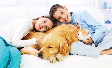 Talking to kids about a pet's death - Today's Parent