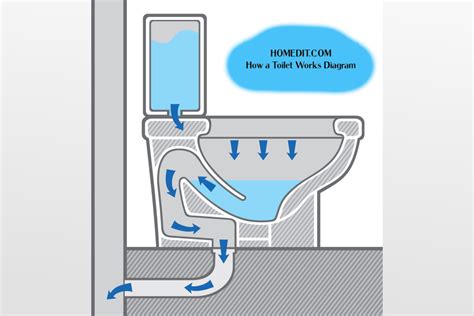 Guide to Parts of a Toilet With Diagrams