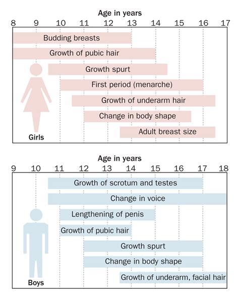 Stages Of Puberty In Girls Chart