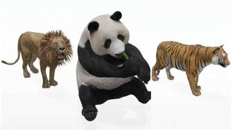 Google 3D Animals not showing up? Here's what you can do to fix it ...