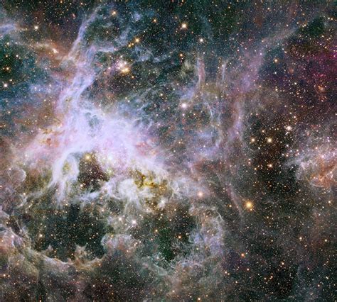 Hubble Views the Interior of Tarantula Nebula