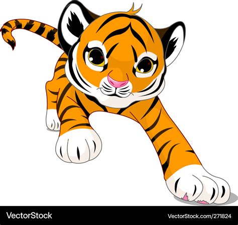 Cartoon baby tiger Royalty Free Vector Image - VectorStock