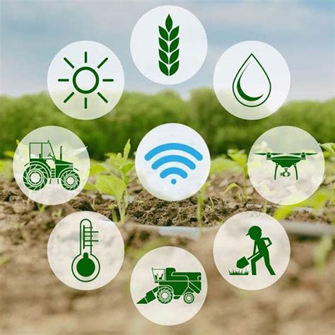 Precision Farming: Revolutionizing Agriculture