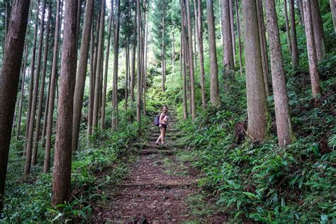 Kumano Kodo Trail: The Pilgrimage Route Japan | Two Wandering Soles