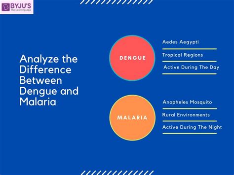 Differences Between Dengue and Malaria Disease With Their Detailed Comparisons