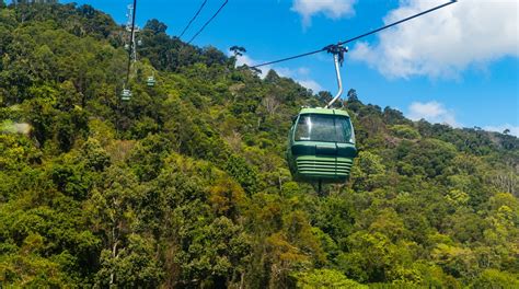 Skyrail Rainforest Cableway Tours - Book Now | Expedia