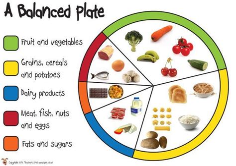 food pyramid ks2 - Google Search | Healthy eating posters, Healthy ...