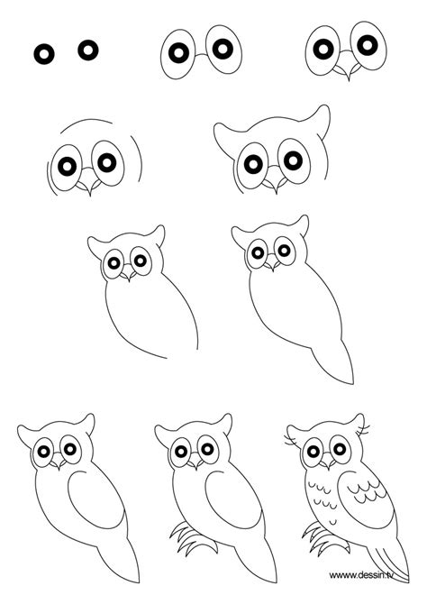 Drawing true owl