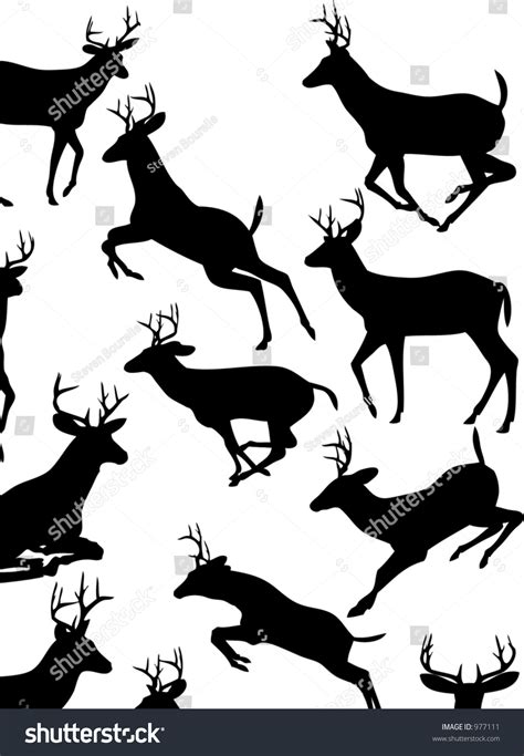 Vector Deer Poses This Fully Editable Stock Vector 977111 - Shutterstock