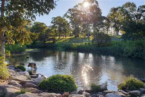 10 Family Friendly Walks Under 10ks - North Brisbane | Snowys Blog