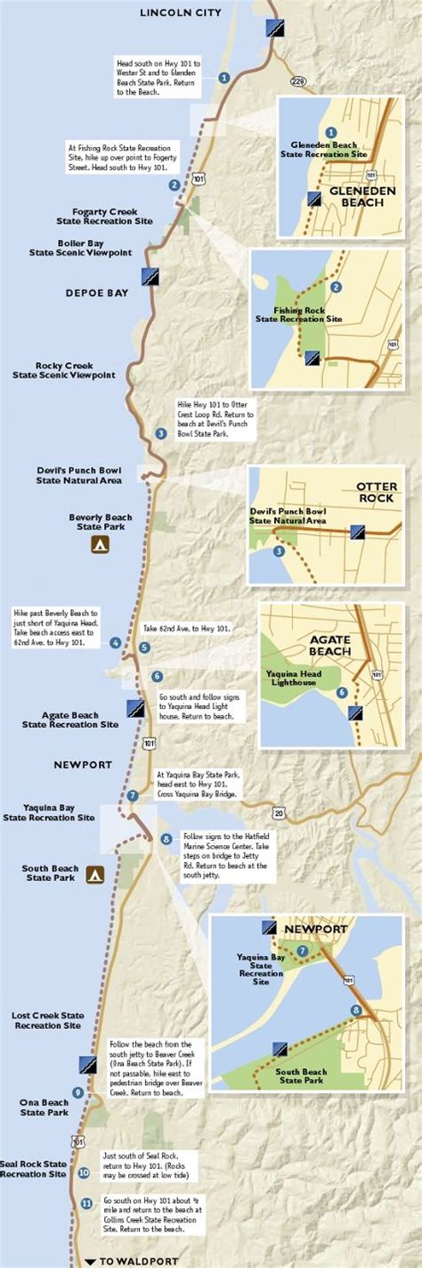 Oregon coast trails map | Oregon vacation, Oregon travel, Oregon coast