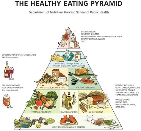 Milk and dairy in the food pyramid - VIRA