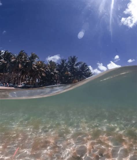 Santo Domingo Beaches to Visit - This Rare Earth