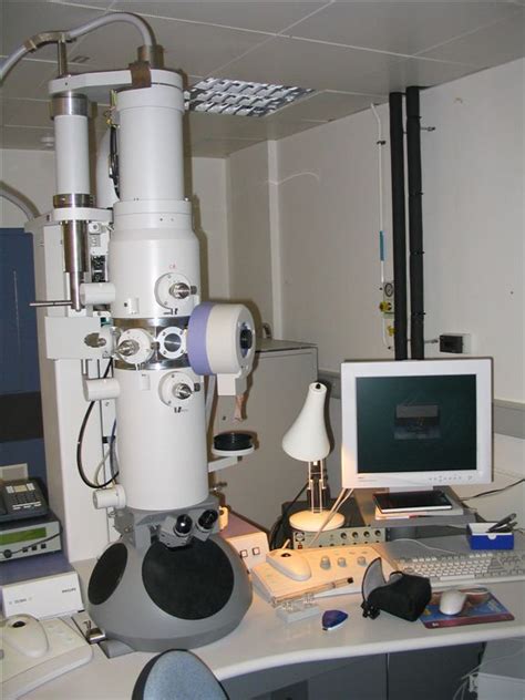 Electron microscope - Wikipedia