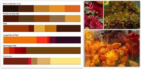 Fall Color Palettes Fall Color Schemes Deep Autumn Co - vrogue.co