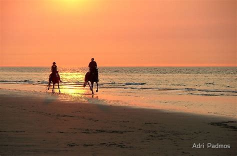 "Horse ride at sunset" by Adri Padmos | Redbubble