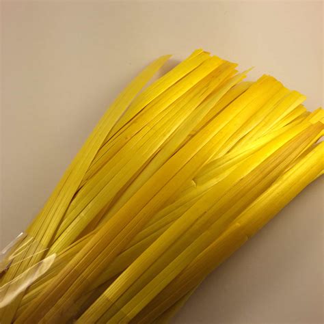 Wheat Straw FANTASY YELLOW | The Straw Shop