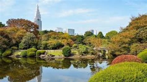 Shinjuku Gyoen National Garden, tokyo, Japan - Top Attractions, Things ...