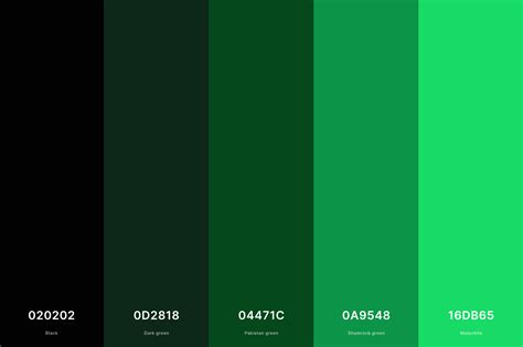 35+ Best Green Color Palettes with Names and Hex Codes (2023)