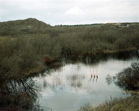 Synchronized Swimming Photography-5 – Fubiz Media