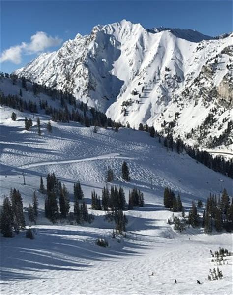 Base looking up Alf's High Rustler - Picture of Alta Ski Resort, Alta ...