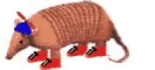 Armadillo Discord Emojis - Armadillo Emojis For Discord